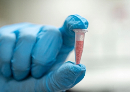 Alerta de segurança: Polícia Científica identifica cocaína rosa após apreensão no Paraná