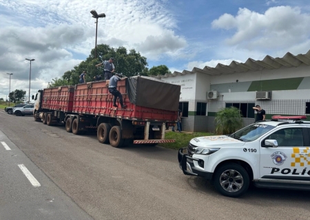 Operação conjunta das polícias resulta na apreensão de quase 700 kg de drogas em Rosana