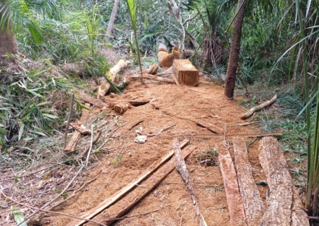 Polícia Ambiental de Aquidauana flagra desmatamento ilegal em área de reserva no Assentamento Indaiá IV