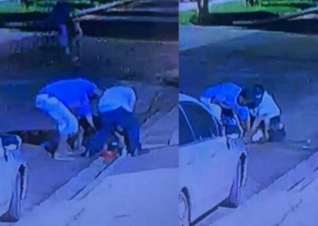 Polícia Civil identifica e indicia autores da morte de um Pitbull ocorrida em Campo Grande