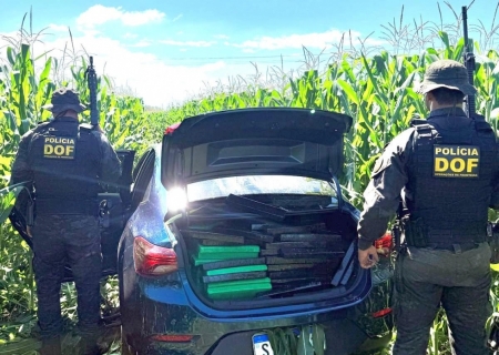 DOF apreende mais de meia tonelada de drogas em Amambai