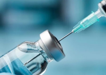 Gripe aviária em humanos: vacina brasileira aguarda fase de testes