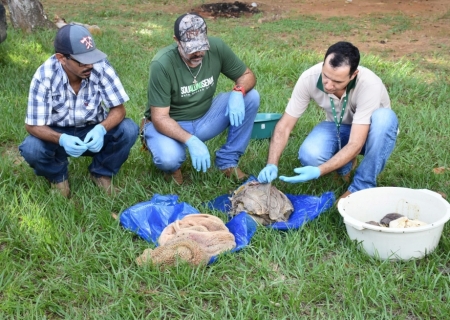 Curso de manejo nutricional de bovinos é realizado em Taquarussu