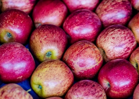 Exportação de frutas cresceu 26% no primeiro trimestre de 2025
