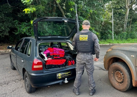 DOF apreende maconha que seguia para o Estado do Paraná