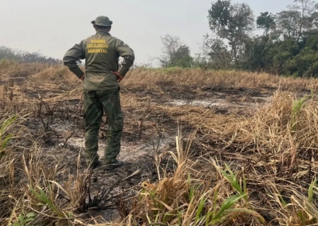 Brasil reduz 70% da área queimada no primeiro trimestre de 2025