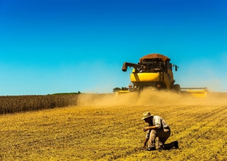 Brasil colheu quase 90% da área de soja 2024/25 e finalizou plantio de milho inverno