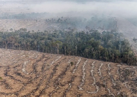 STF permite desapropriação de terra por incêndio ilegal e desmatamento