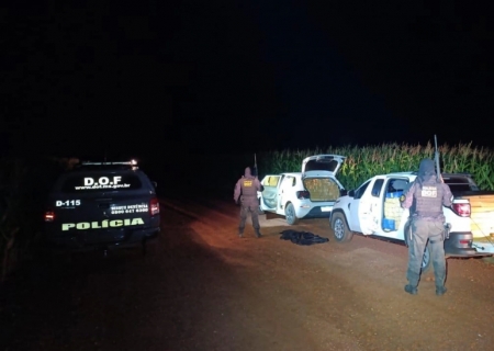 Veículos com mais de 2,4 toneladas de maconha são apreendidos pelo DOF em Ponta Porã