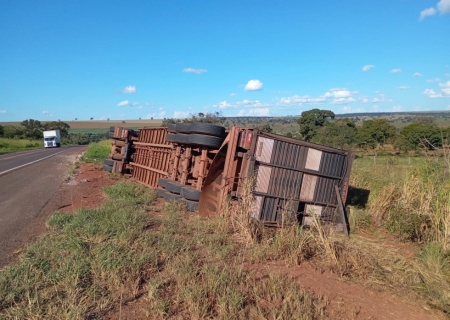 Carreta carregada de gado tomba na BR-267