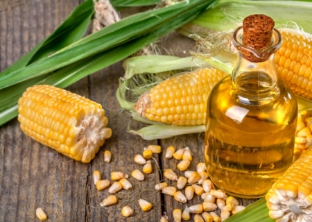 Produtos menos tradicionais do agronegócio batem recordes de exportação