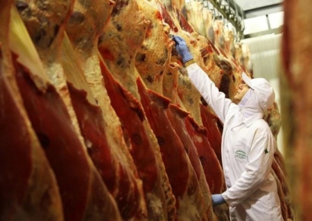 Produção animal cresce no 1º trimestre de 2025 e reforça força do agronegócio
