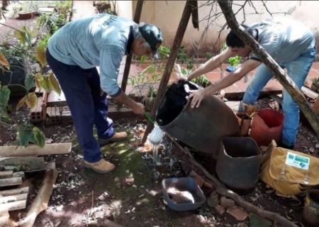 Mato Grosso do Sul registra 4.517 casos confirmados de dengue