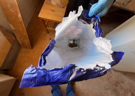 Polícia Civil prende homem em flagrante por morte de animal na Capital