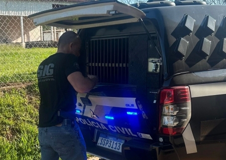 SIG prende mulher que ajudou filho a estuprar idosa em Ivinhema
