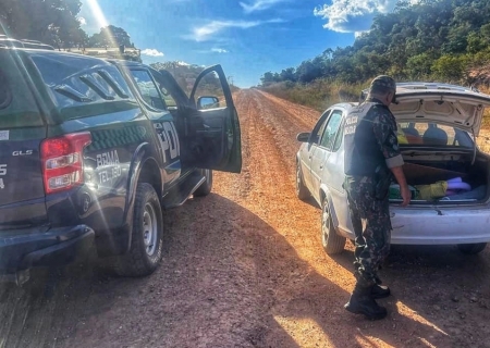 Polícia Ambiental realiza operação e intensifica fiscalizações em Coxim e municípios vizinhos