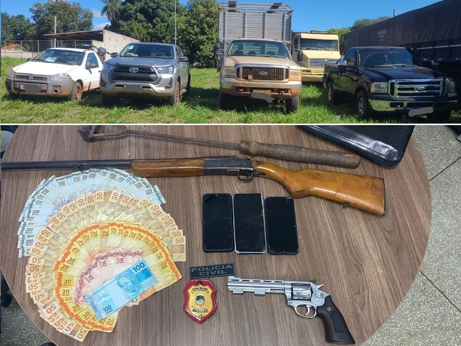 Operação investiga furto e adulteração de gado em Brasilândia