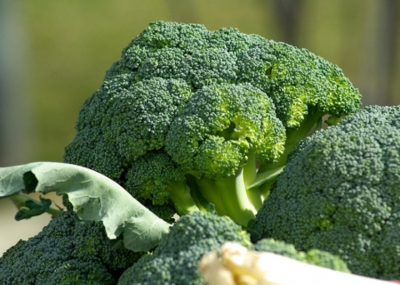 Brócolis têm baixo teor calórico e é rico em fibras e vitaminas