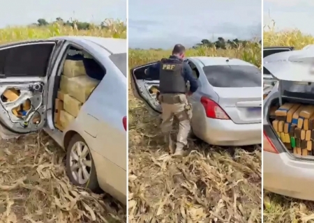 Quarteto é preso com mais de 1 ton de drogas em Campo Grande