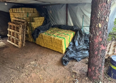 Polícia apreende mais de oito toneladas de maconha em acampamento clandestino em zona rural de MS