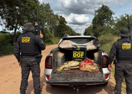 DOF prende cinco pessoas com carne de gado furtado em Corumbá