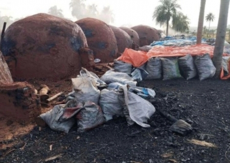 Ministério Público apura irregularidades em carvoaria próxima à área urbana de Nova Andradina