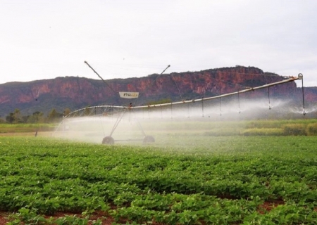 Pantanal Tech MS se consolida como vitrine do agro sustentável, fomento tecnológico e economia criativa