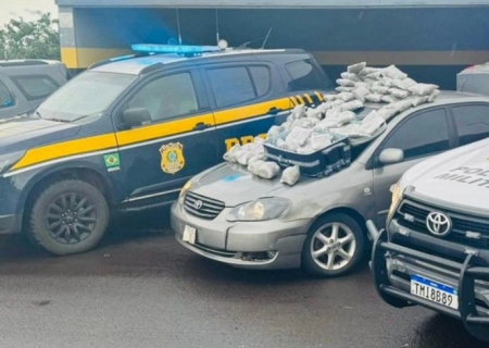 PRF e PM de São Paulo apreendem 66,5 kg de skunk em Bataguassu
