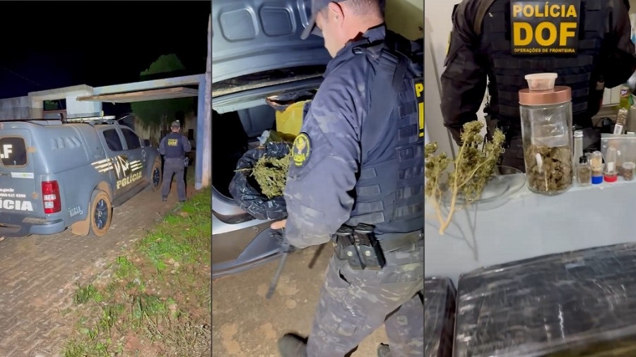 DOF encontra entreposto de drogas em Ponta Porã e apreende quase 1 ton de maconha