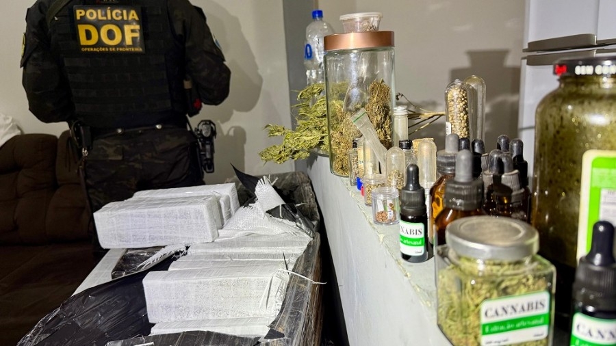 DOF encontra entreposto de drogas em Ponta Porã e apreende quase 1 ton de maconha