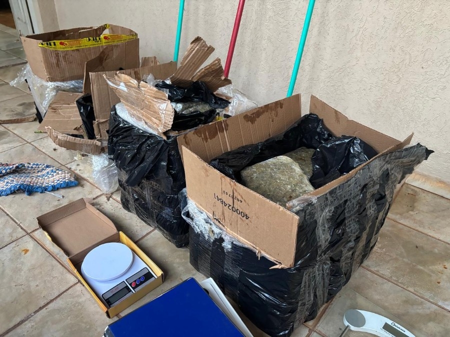 PF deflagra operação em Dourados e Campo Grande após apreensão de 8 toneladas de maconha