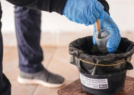 SES promove capacitação para expandir armadilhas de vigilância contra o Aedes aegypti e albopictus