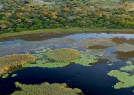 Parque do Pantanal do Rio Negro desponta como modelo nacional na geração de créditos ambientais
