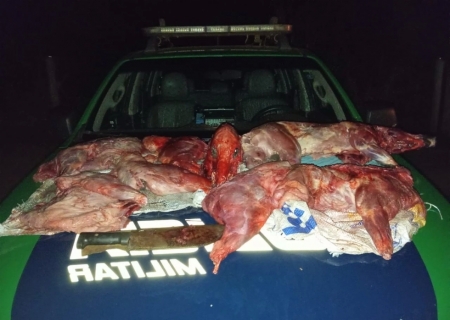 Polícia Ambiental apreende animais silvestres abatidos na fronteira em Coronel Sapucaia