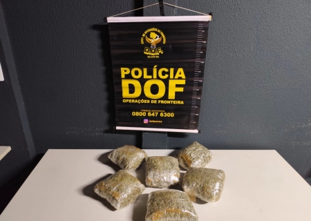 Skunk que seguia para aldeia indígena é apreendida pelo DOF em Aral Moreira