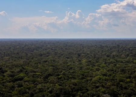 Organizações sociais propõem plano para investimentos na Amazônia