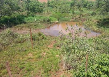MPE investiga desmatamento ilegal em área de proteção às margens do córrego em Deodápolis