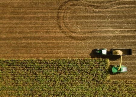Governo negocia socorro a afetados por tarifaço no agro