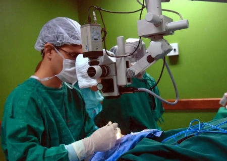 Exames são importantes para diagnóstico do câncer de intestino