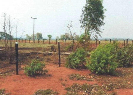 Ministério Público investiga extração ilegal de madeira nativa em assentamento rural de Nioaque