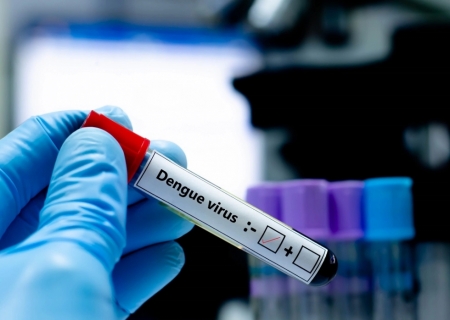 Mato Grosso do Sul registra 7.482 casos confirmados de dengue em 2025