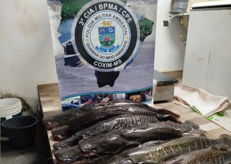 PMA apreende 134 kg de pescado irregular em pesqueiro em Sonora