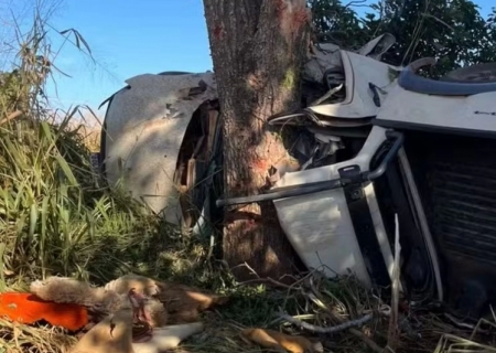 Quatro pessoas morrem e uma fica em estado grave após caminhonete bater contra árvore em Miranda