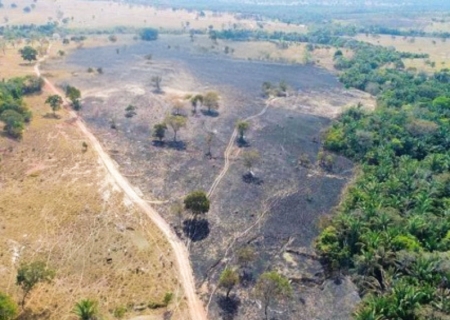 MPE investiga incêndio que devastou mais de 160 hectares em Coxim