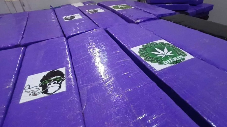 Jovem tenta fugir com perna quebrada e é preso com quase 2 toneladas de maconha em Dourados