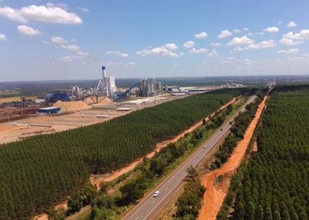 Comissão Especial de Licitação rejeita recurso sobre Rota da Celulose e convoca segundo colocado