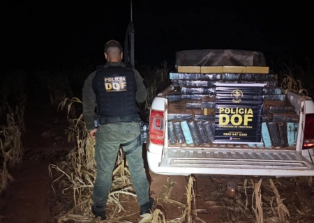 DOF apreende Amarok furtada com quase 1 tonelada de maconha
