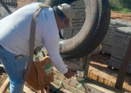 Após seminário, municípios de MS relatam impacto positivo das ovitrampas no controle das arboviroses