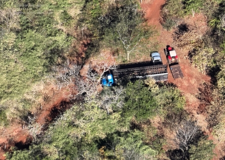 Polícia Ambiental flagra desmatamento e transporte ilegal de aroeira em reserva no MS