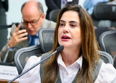 Mara Caseiro solicita medidas emergenciais para apoiar produtores de MS afetados por alta nas tarifas dos EUA